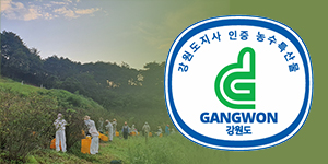 강원특별자치도 농수특산물 인증마크 이미지