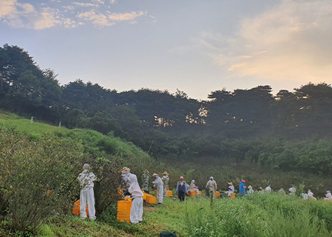 지속가능한 유기농 농업