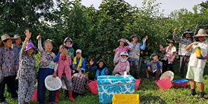 영농조합법인 설립 기념 사진